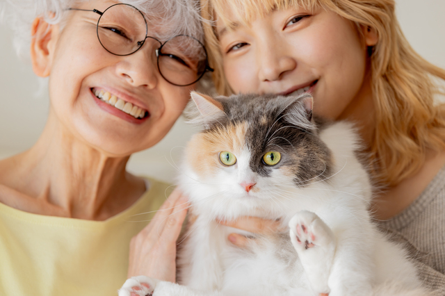 熊本のペット霊園と訪問火葬の特徴と選び方（後悔しないお見送りのために）